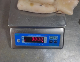 MỰC ỐNG LÀM SẠCH KHÔNG ĐẦU ( ỐNG FILLET - THÂN ỐNG )